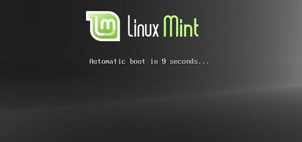 Delete Windows from Linux Mint - Ubuntu Dual-Boot 02