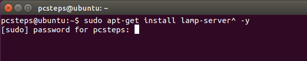 Install LAMP on Linux Mint Ubuntu Create Local Website Offline 03