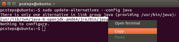 How To Install Java on Linux Mint - Ubuntu Openjdk Oraclejdk 16
