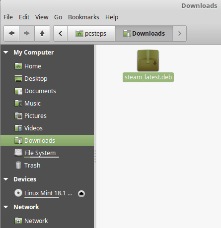 How to install Steam in Linux Mint